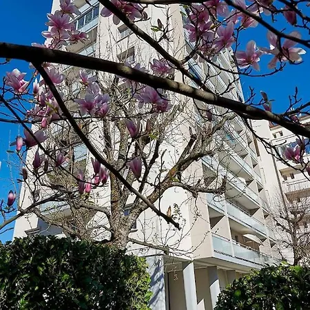 アパート Superb Air-conditioned T2 - Balcony - Virtual Tour *